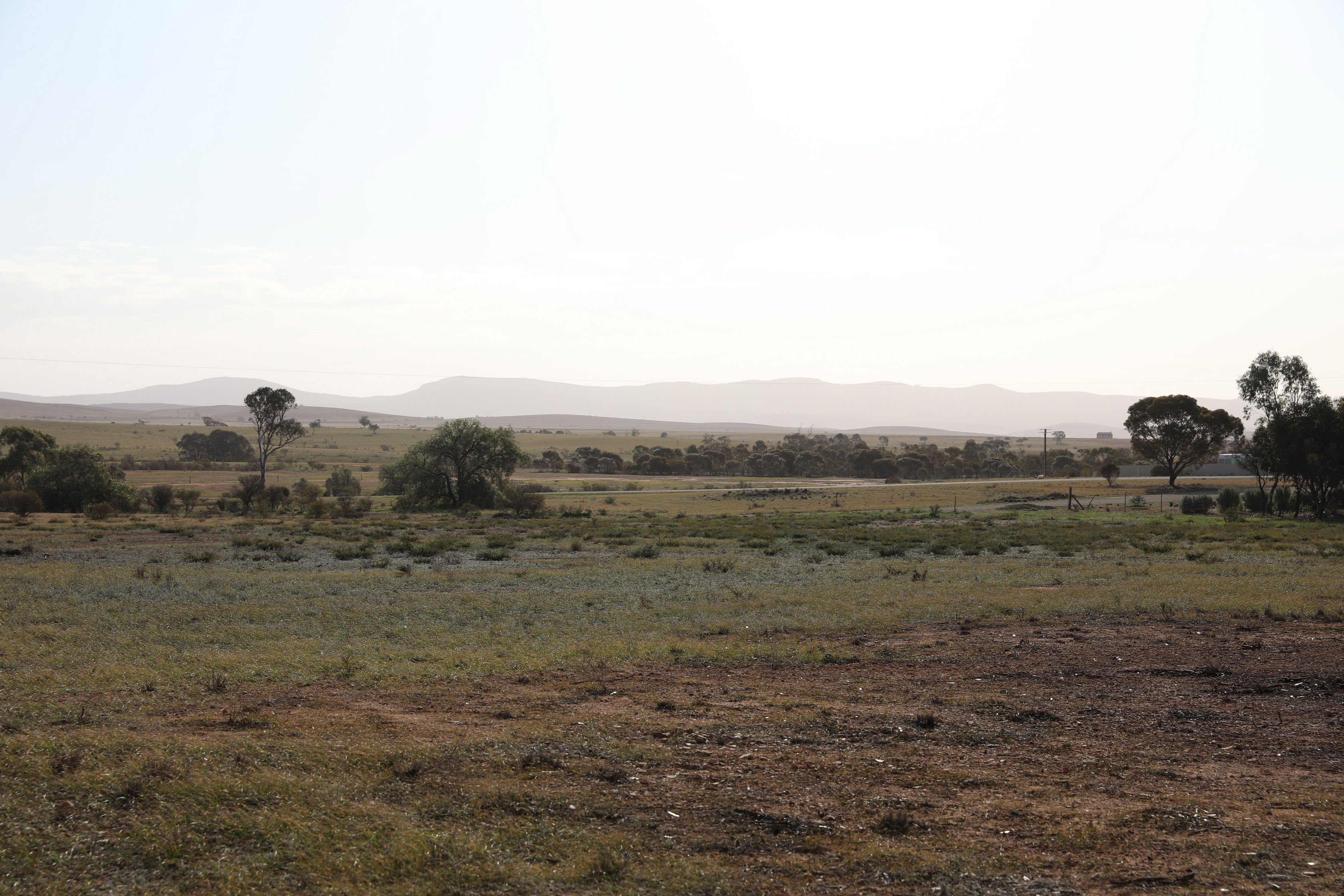 2019 08 31 16 01 22 Canon EOS 5D Mark IV 0019